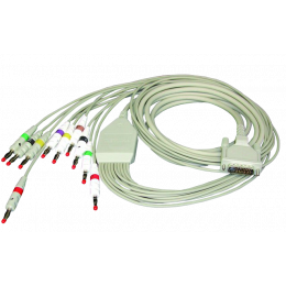 Chauvet DJ EZLink Par Q1BT Pack DJ Lights DJ Equipment