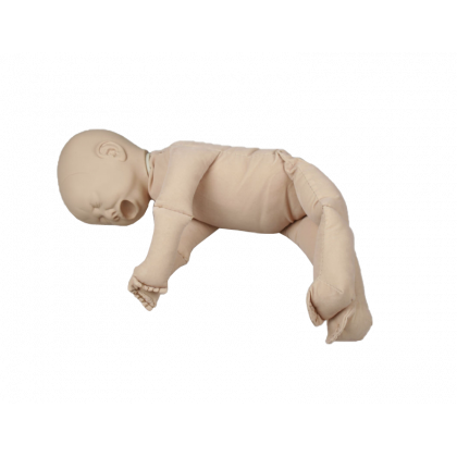 Modèle de démonstration pelvis féminin avec fœtus et placenta